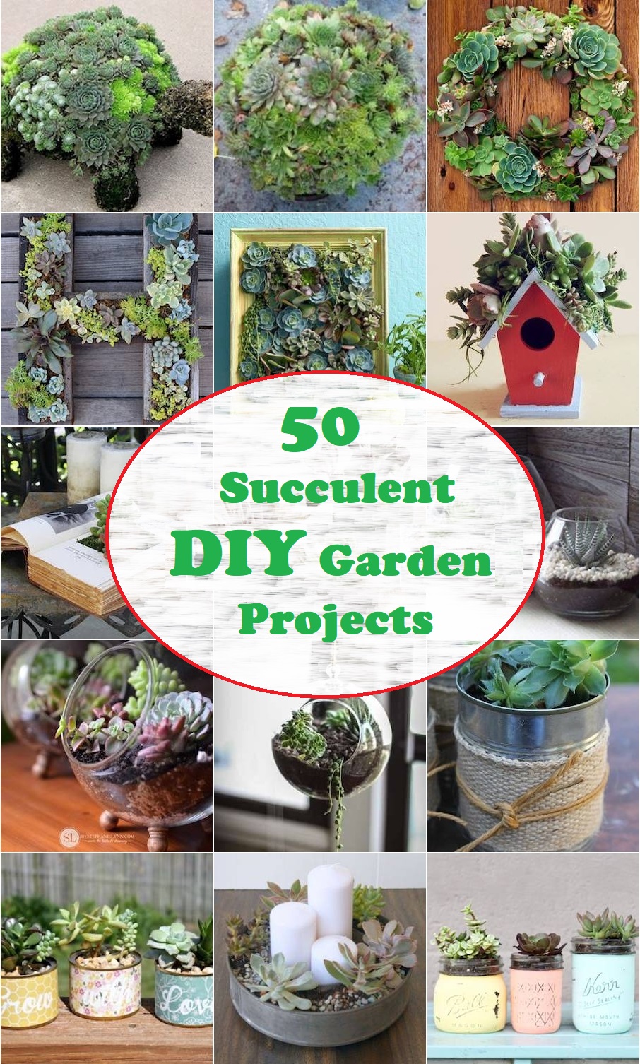 50 Succulent DIY Garden Projects