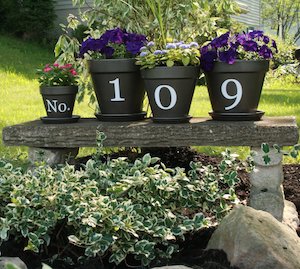 100 Cheap & Easy Front Yard Curb Appeal Ideas