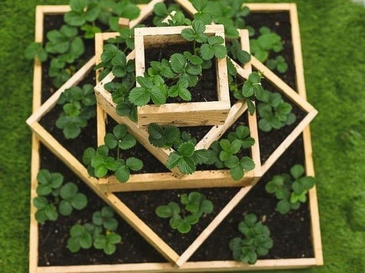 Making a strawberry pyramid: 5 projects with simple instructions for your own garden