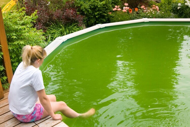 treat green pool water